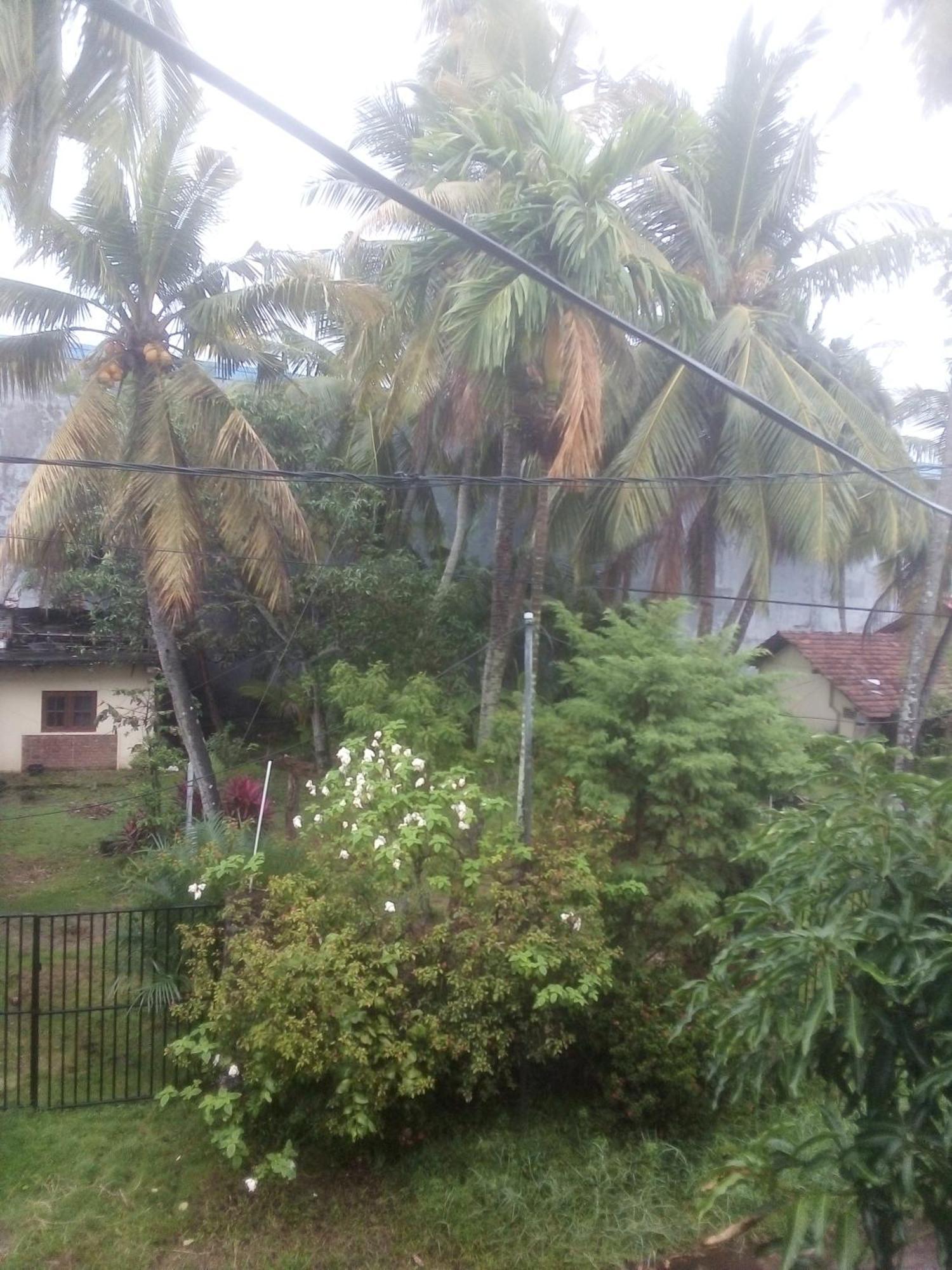 Sunrise City Palace Negombo Cameră foto